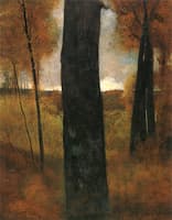 Edge of Forest