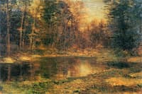 Woodland Pool