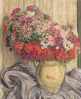 Phlox
