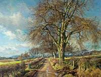 White Poplar, Carse of Gowrie