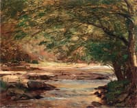 Sunshine on the Brook