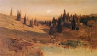 Evening among the Cedars
