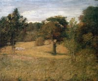 Weir's Orchard