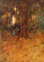 A Dim Old Forest
