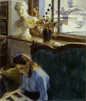 The Window