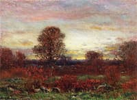 Evening
