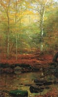 The Quiet Stream