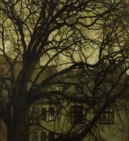 Tree in a Courtyard