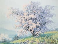Spring Blossoms
