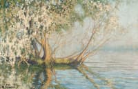 Arbres, bord de la Seine