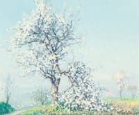 La Branche Cassée