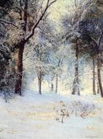 Sunshine after Snowstorm