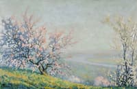 Spring Landscape