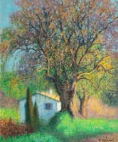 Cottage with Olive Tree, La Colle-sur-Loup