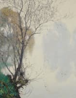Reflet sur l’eau