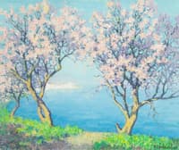 Cherry Blossoms
