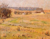 Summer Meadow