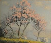 Apple Tree in Bloom