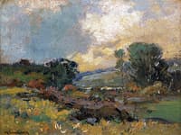 The Meadow