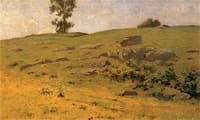 Hillside Boulders