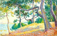 Pine Forest on the Edge of the Sea [Pinède au bord de mer]