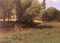 Summer Meadow