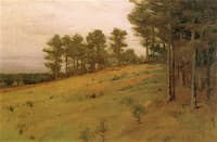 Hillside Pines