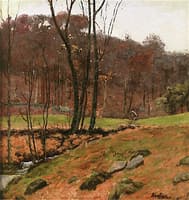 Woodland Stream