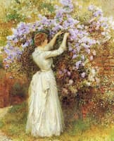 Gathering Flowers