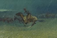 The Stampede