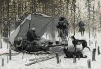 The Rabbit Hunt