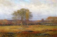 Autumn Fields