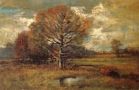 Fall Fields