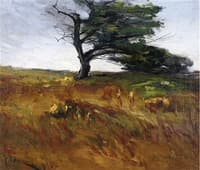 Windblown Meadow