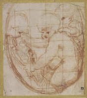 Three Putti