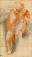 Study of a Putto