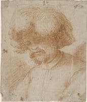 Head of a Bearded Man