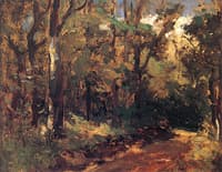 Wayside Copse