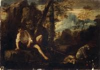 Narcissus