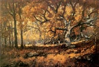 The Woodland Scene
