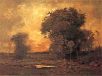 Sunset Trees