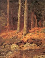 Brook in the Woods