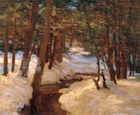A Woodland Brook