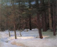 Winter Pines