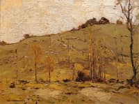 Sunny Hillside