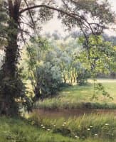 A Woodland River