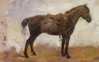 The Horse