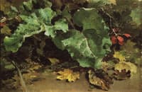 Leaves