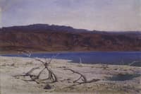 The Dead Sea