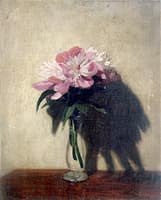 Pink Peonies